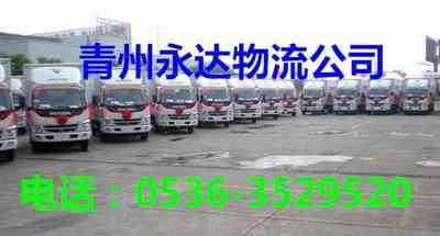 ݵϾԒ13583612550